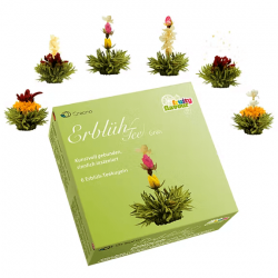 Coffret magnetique 6 fleurs de the vert